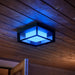 aplique-led-white-color-15w-philips-hue-econic.jpg
