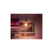 bombilla-inteligente-led-e27-135w-1200-lm-a60-philips-hue-white-color.jpg