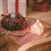 casita-de-navidad-led-ceramica-con-bateria-bianca.jpg