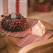 casita-de-navidad-led-ceramica-con-bateria-bianca.jpg