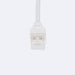conector-hipopotamo-con-cable-para-tira-led-rgb-1224220v-smd-silicone-flex-ancho-12-mm.jpg