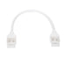 conector-hipopotamo-doble-con-cable-para-tira-led-rgb-1224220v-smd-silicone-flex-ancho-12-mm.jpg