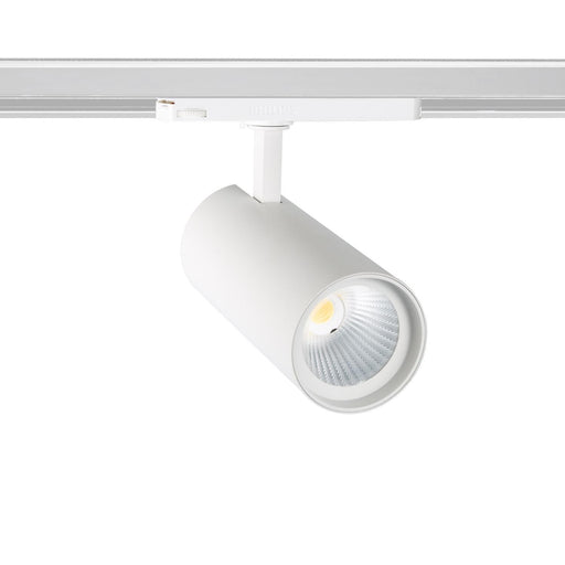foco-carril-led-trifasico-30w-new-dangelo-blanco-cri90-philips-xitanium.jpg