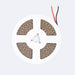 tira-led-24v-dc-smd1616-168ledm-5m-ip20-slim-ancho-3mm-corte-5cm.jpg