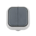 interruptor-doble-ip54.jpg