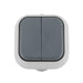 interruptor-doble-ip54.jpg