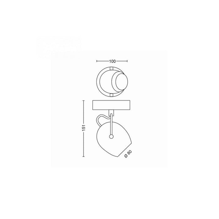lampara-de-techo-led-1-foco-philips-rivano-43w.jpg