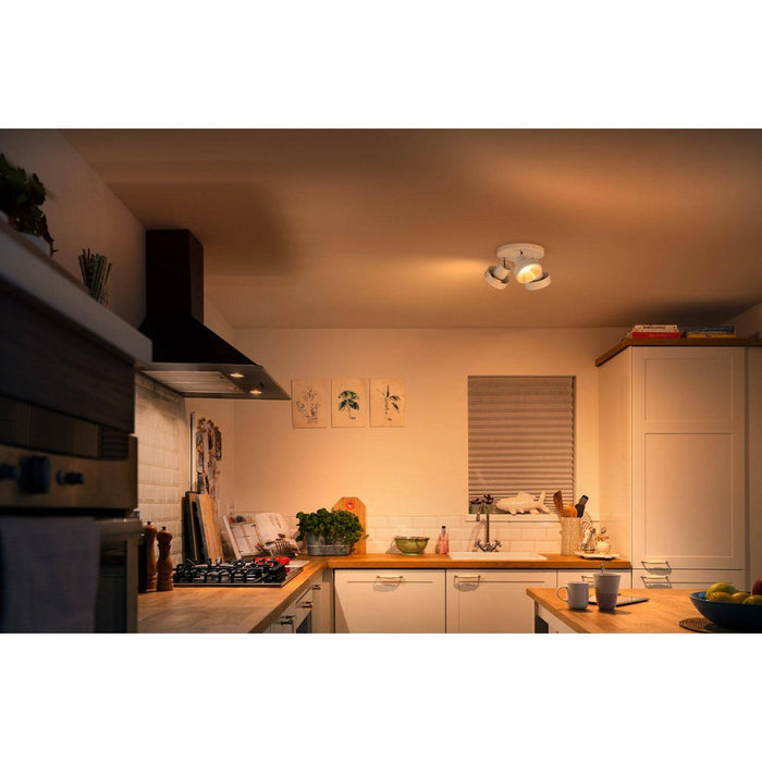 lampara-de-techo-led-3-philips-bukko-3x43w.jpg