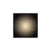 lampara-de-techo-white-ambiance-1-foco-gu10-philips-hue-buckram.jpg