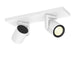 lampara-de-techo-white-color-2x6w-philips-hue-argenta.jpg