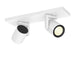 lampara-de-techo-white-color-2x6w-philips-hue-argenta.jpg