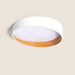 plafon-led-28w-circular-o400-mm-cct-seleccionable-liam.jpg
