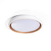 plafon-led-28w-circular-o410-mm-cct-seleccionable-rayan.jpg